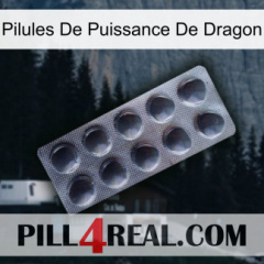 Dragon Power Pills 30